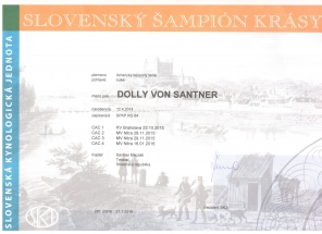 dolly sampion sr