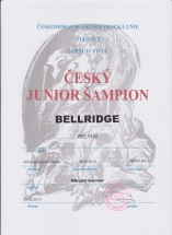 junior champion CR 001