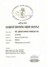 luxy klubovy sampion